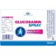 Glucosamin Spray -100ml