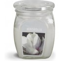 BOLSIUS Aroma svíčka ve skle 120/92 Magnolie
