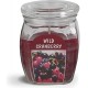 BOLSIUS Aroma svíčka ve skle 120/92 Wild Cranberry