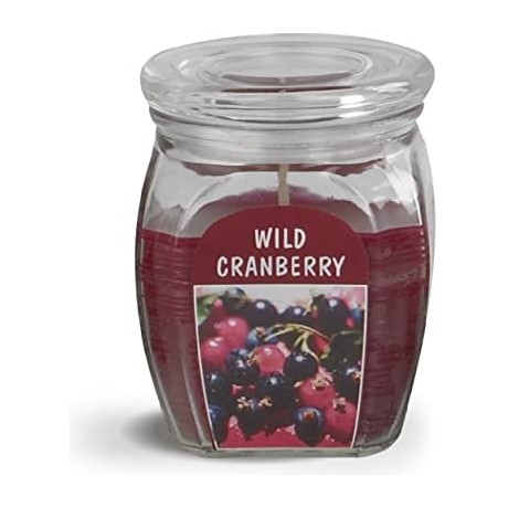 BOLSIUS Aroma svíčka ve skle 120/92 Wild Cranberry